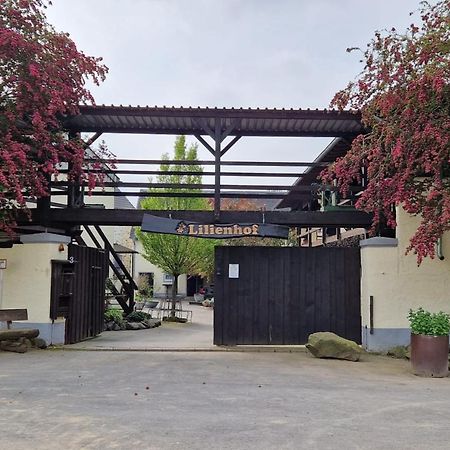 Schoene Wohnung Kleiner Onkel Auf Idyllischem Reiterhof Nahe Burg Eltz Münstermaifeld Exterior foto